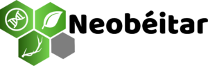 neobeitar_negro